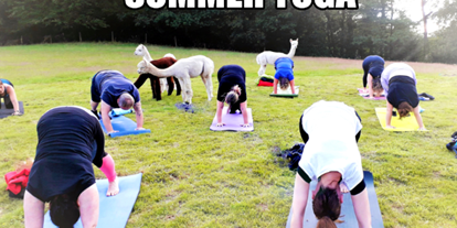 Yogakurs - Yogastil: Power-Yoga - Deutschland - Alpakas mögen Yoga und sind immer neugierig , was du machst.. - Yoga in der Natur , Outdoor Yoga