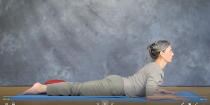 Yogakurs - spezielle Yogaangebote: Yogatherapie - Baden-Württemberg - Hatha Yoga Präsenz & Live-Stream-Online Kurs