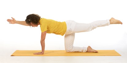 Yogakurs - Mitglied im Yoga-Verband: BYV (Der Berufsverband der Yoga Vidya Lehrer/innen) - Brandenburg Süd - Yoga für den Rücken - Yoga für den Rücken, Yoga und Meditation