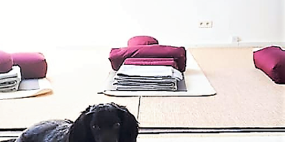 Yogakurs - vorhandenes Yogazubehör: Sitz- / Meditationskissen - Westerwald - Yin Yoga im Atelier
