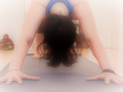 Yogakurs - Vermittelte Yogawege: Raja Yoga (Yoga der Meditation) - Eifel - Qi-Life Yogalehrer Ausbildung 220h