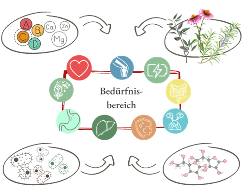Bedürfnisbereiche des Körpers