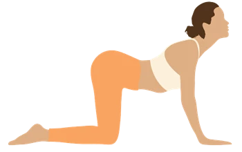 Yogapose Katze-Kuh