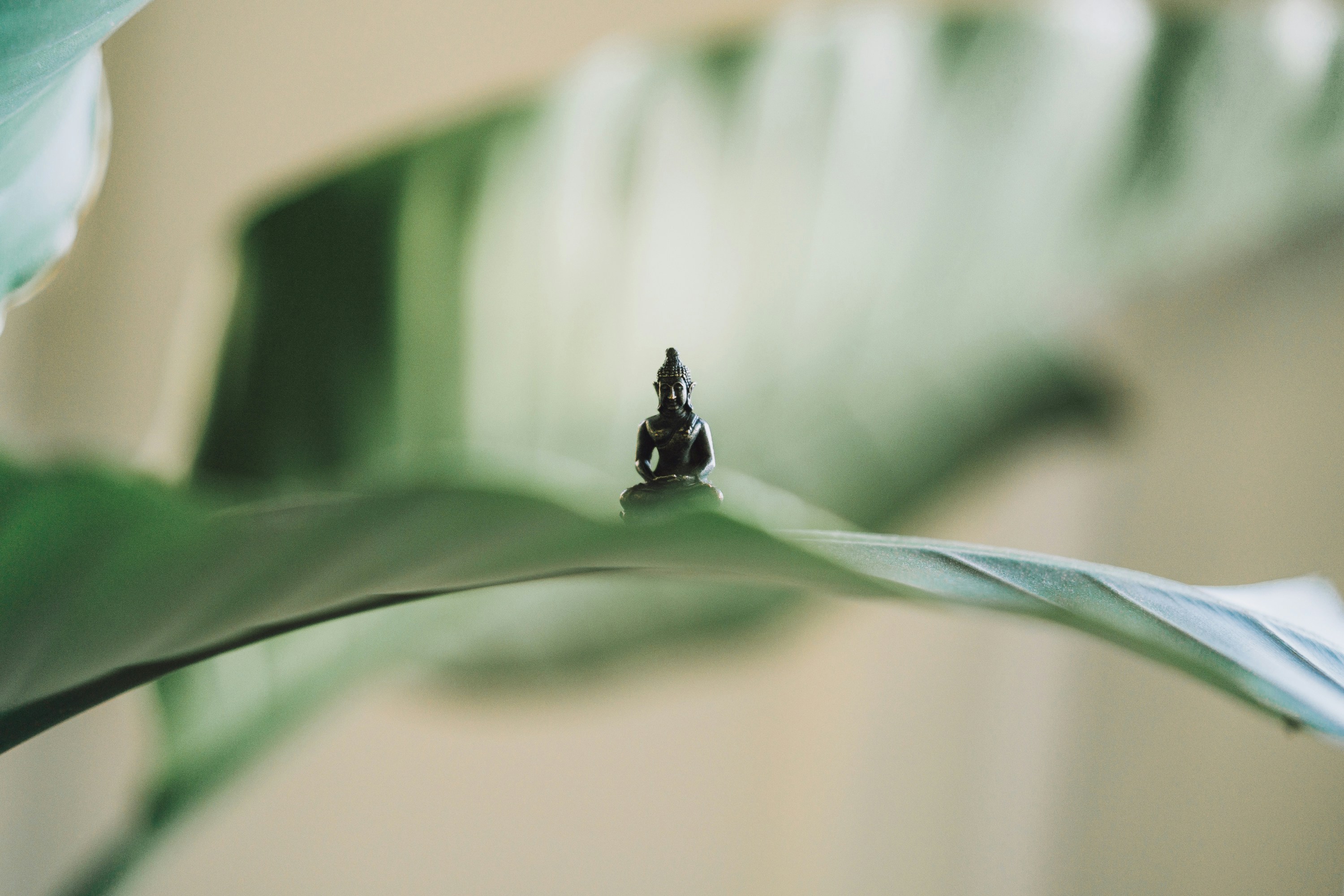 LungTa Yoga with Karolina Seltenheim: Retreats for conscious living and inner alignment - FindeDeinYoga.org