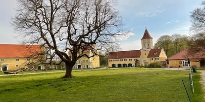 Yoga course - Das Areal von Schloss Blumenthal - Frauen-Wochenenden mit Yoga in Schloss Blumenthal