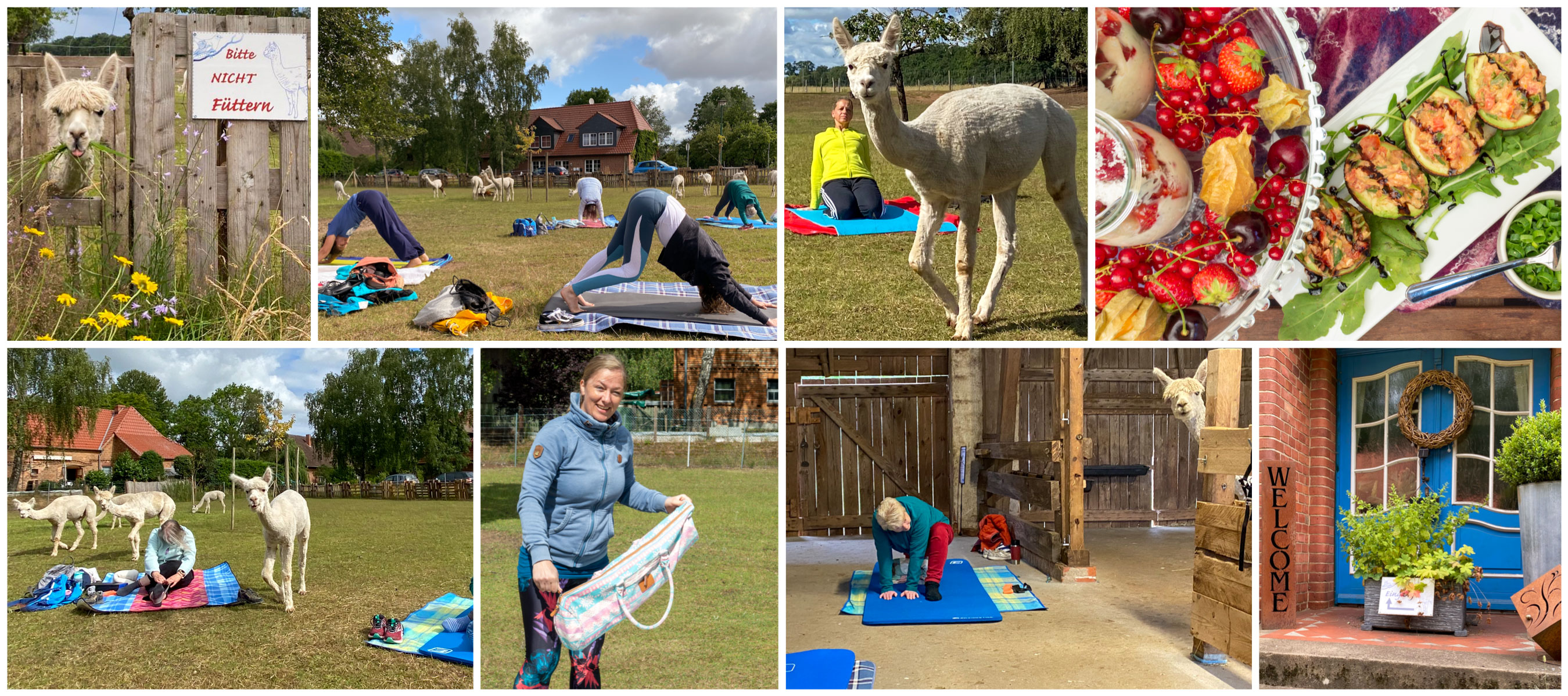 Yoga - Feel-Good mit Bianca Pagel, Yoga mit Alpakas, Yoga Retreat Wochenende im September 2022, auf dem Hof Birkenkamp - Yoga mit Alpakas - Yoga Retreat Wochenende - September 2022