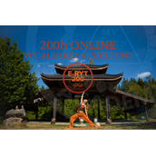 Yoga - 200h ONLINE Yoga Lehrer Ausbildung