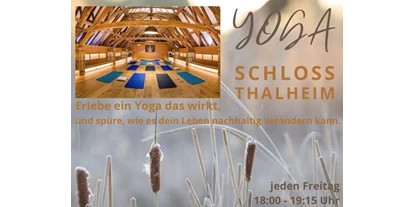 Yoga course - vorhandenes Yogazubehör: Yogamatten - Thalheim (Kapelln) - Dein Körper, Geist und Seele wird es dir danken. - Yoga im Schloss Thalheim 