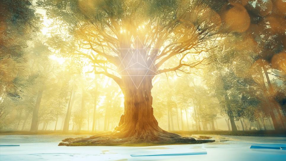 Yoga course - Shamanic Winter Festival