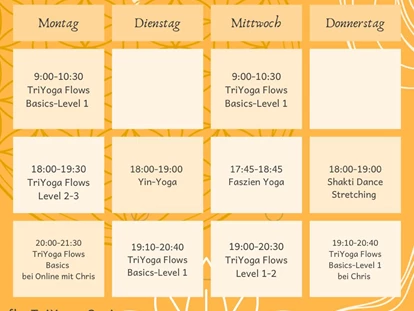 Yogakurs - vorhandenes Yogazubehör: Yogablöcke - Erlensee - Winterkurs in Corina Yoga-Raum für TriYoga in Hanau  - Raum für TriYoga in Hanau CorinaYoga