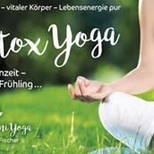 Yoga - Klarer Geist - vitaler Körper - Lebensenergie pur Detox Yoga zur Fastenzeit 