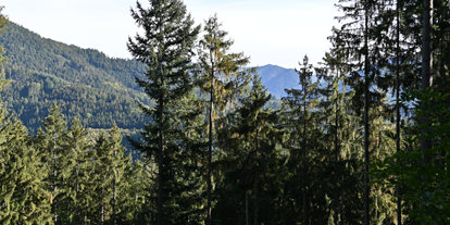 Yogakurs - Ambiente der Unterkunft: Kleine Räumlichkeiten - Deutschland - Die Umgebung - Re-balance Yourself: Yoga, Ayurveda & Coaching Retreat im Schwarzwald 