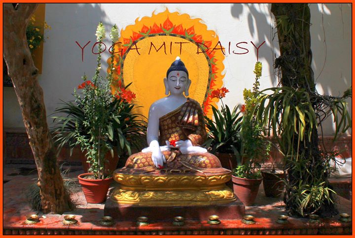 Yoga - https://scontent.xx.fbcdn.net/hphotos-prn2/t31.0-8/s720x720/1097188_640457489312342_330352766_o.jpg - Yoga mit Daisy