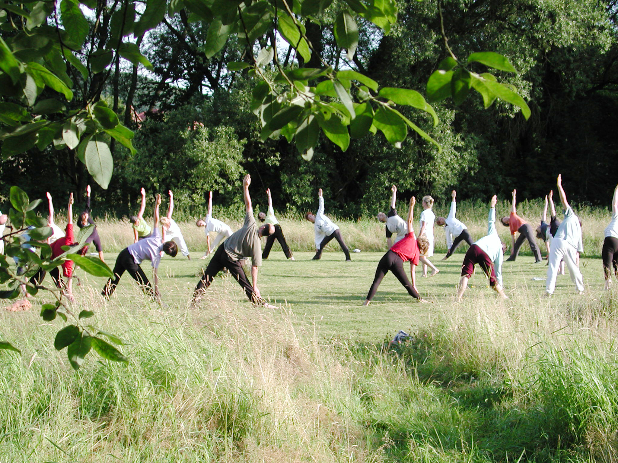 Yoga - Benefit Yoga® auf der Wiese - BenefitYoga® Sommerurlaub