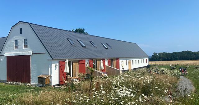 Yoga - Eine Reise in die innere Aus-und Aufrichtung auf Bornholm