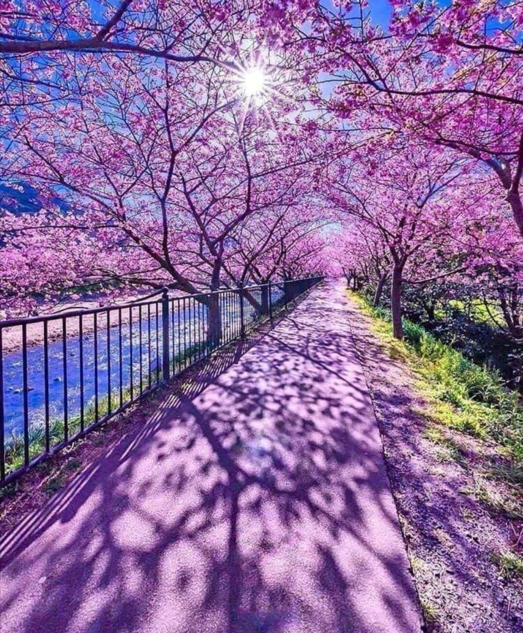 Yoga Retreat: Workshop - Kundalini Yoga & White Sound Gong Meditation