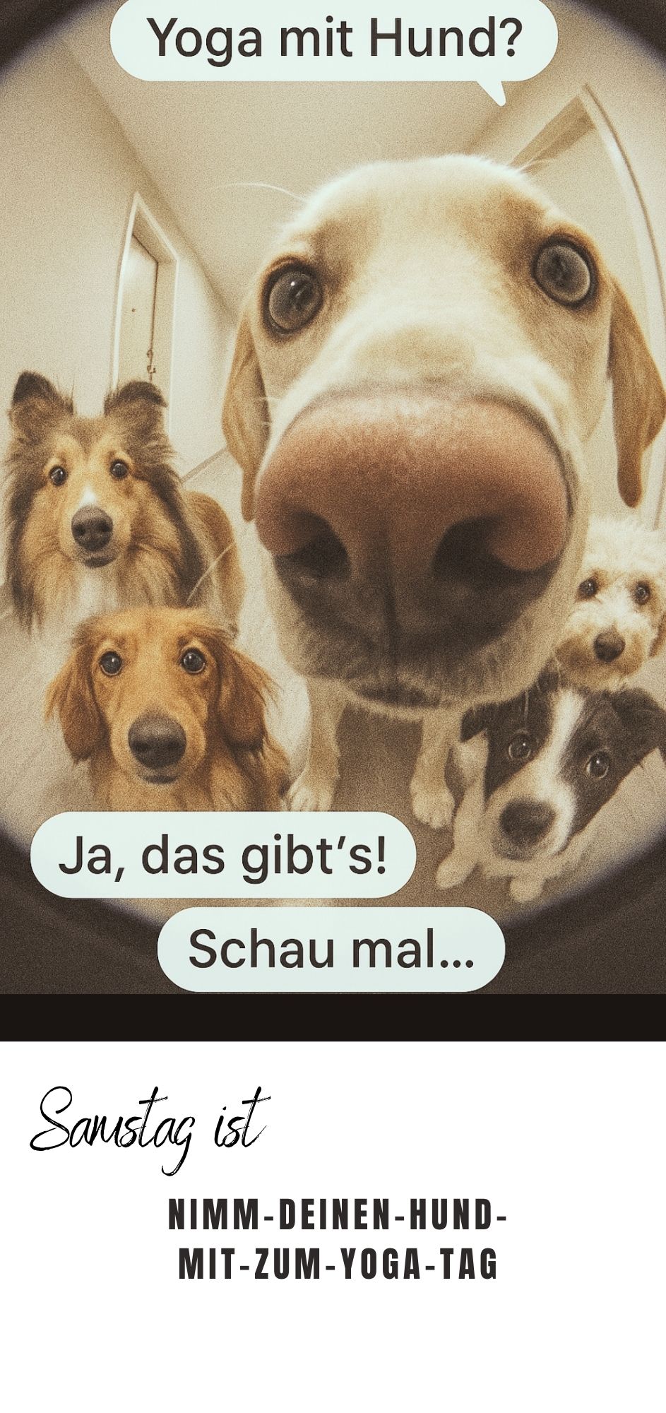 Yoga - Flyer - Yoga mit Hund