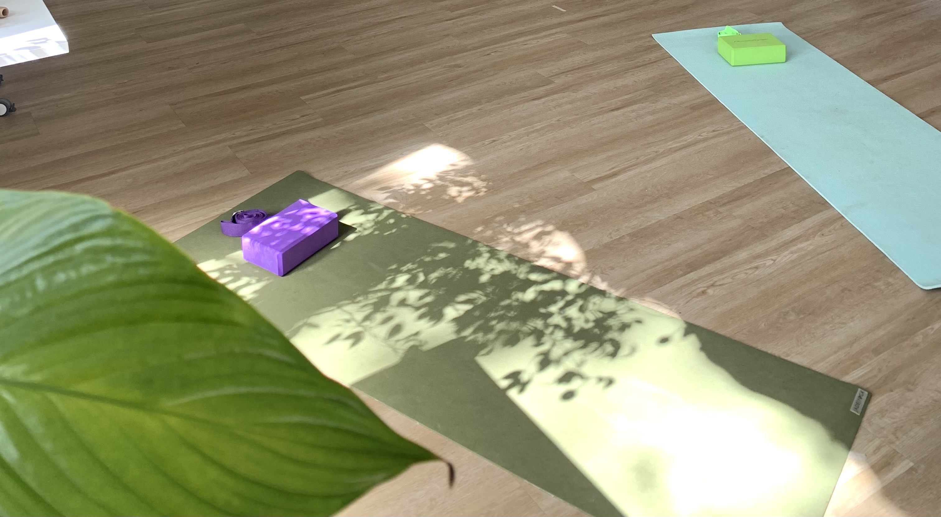 Yoga - Hatha Yoga - Deine Auszeit am Mittwoch-Abend