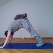 Yoga - Yoga ... entspannt  ... - Joachim Räuber