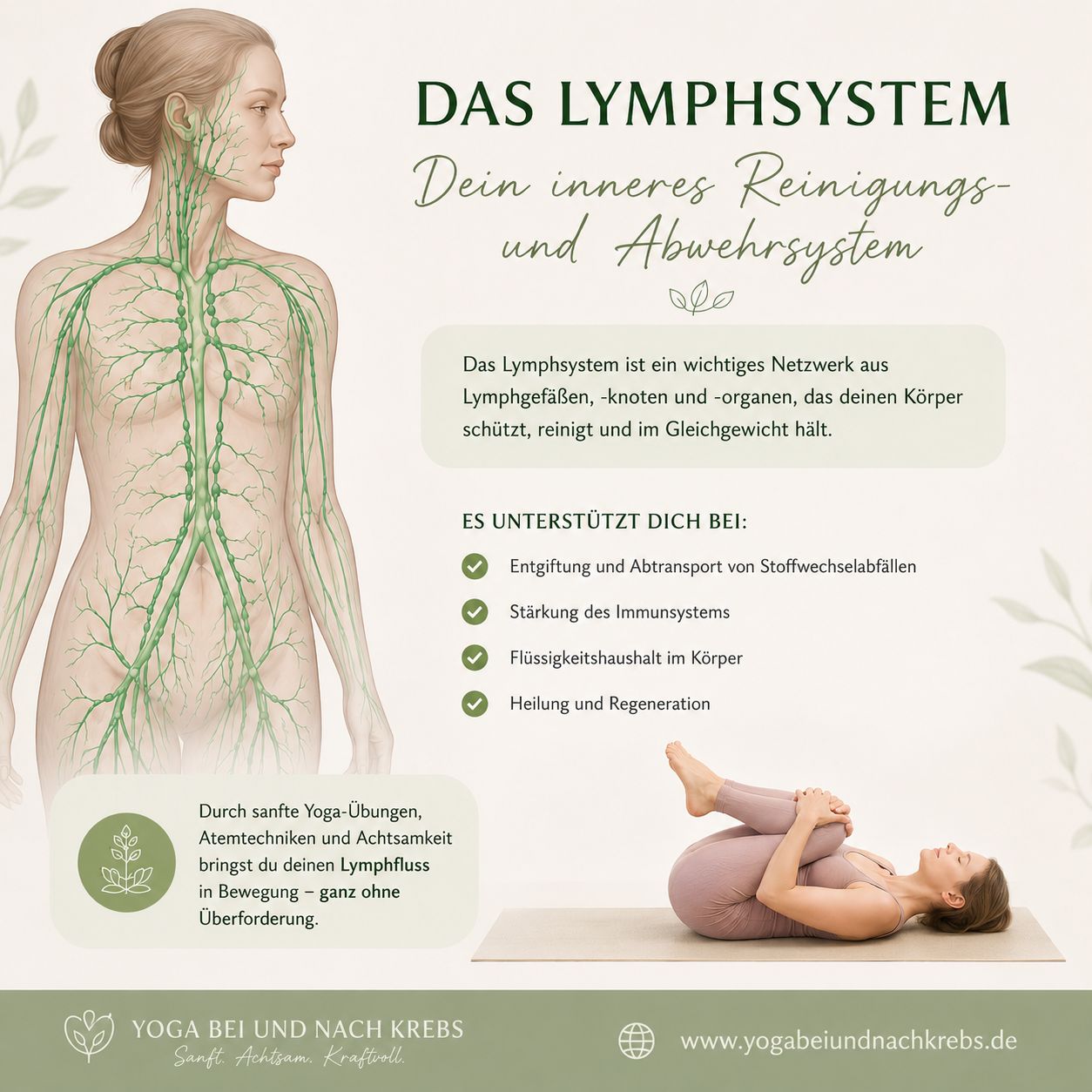 Yoga - Nebenwirkungen sanft begegnen – mit Bewegung, Atmung und Entspannung: LYMPHE