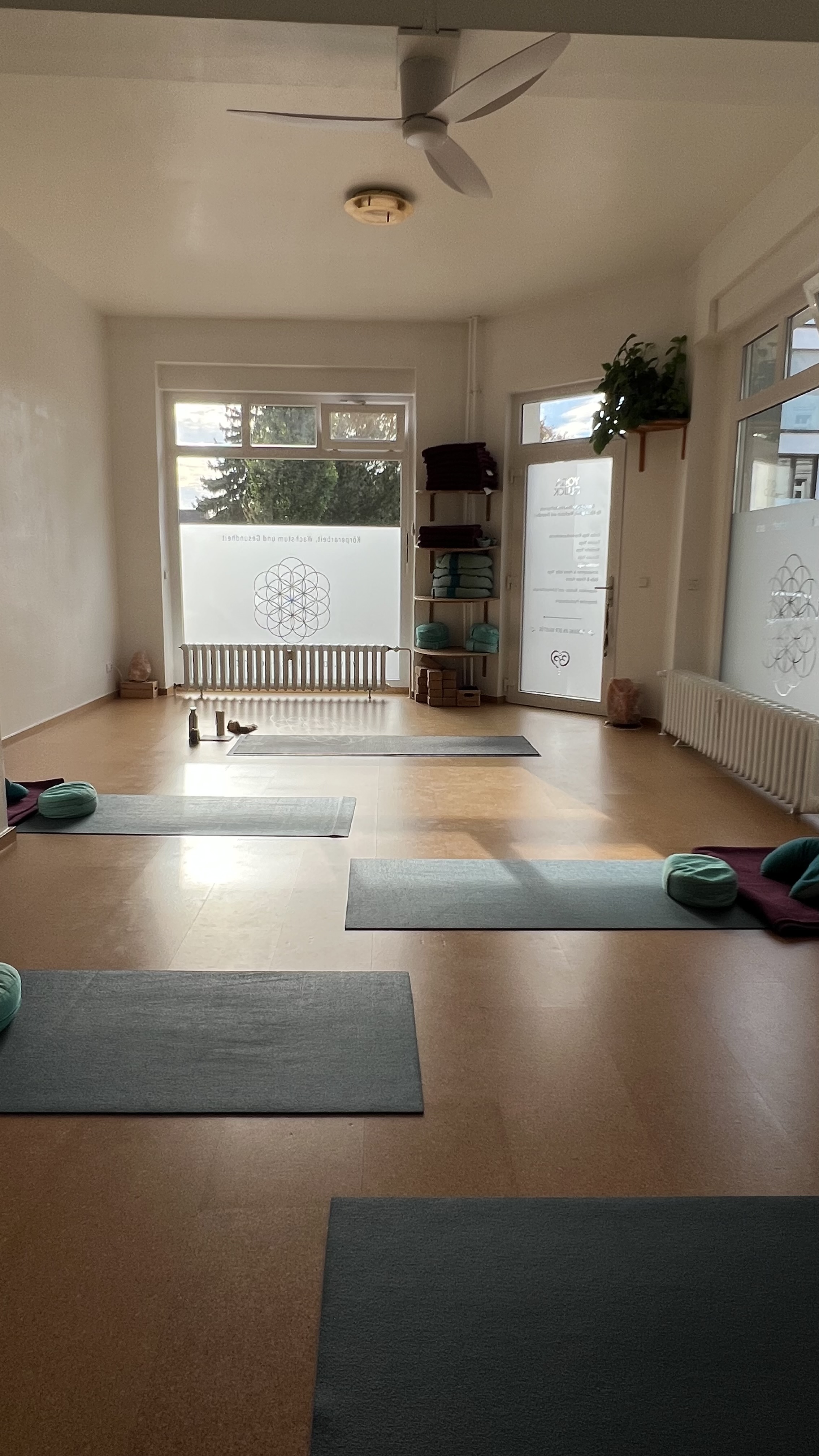 yoga - Yoga Wolff