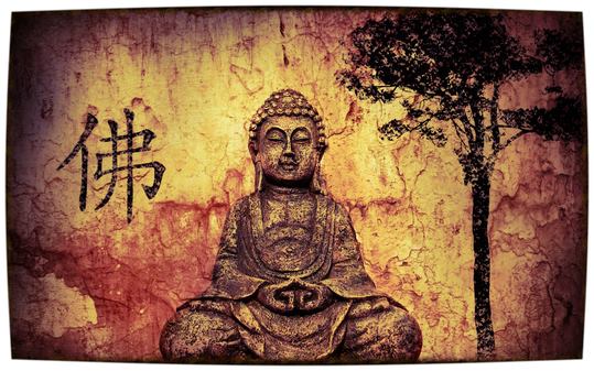 yoga - https://scontent.xx.fbcdn.net/hphotos-xfa1/v/t1.0-9/11209614_827240987344620_6340661476038960506_n.jpg?oh=d1ef895386df1245c9e1e6779b06bb18&oe=5759C9E9 - Yoga Studio KALI