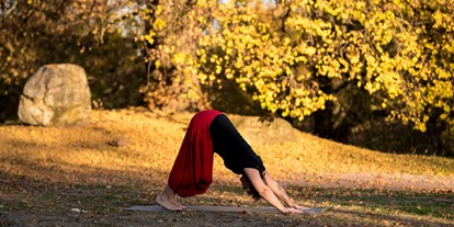 Yogakurs - Yogastil: Hatha Yoga - Aschaffenburg - Ein Yoga Klassiker: Der herabschauende Hund - Christine Raab