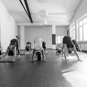 Yoga - Ashtanga Yogawerkstatt