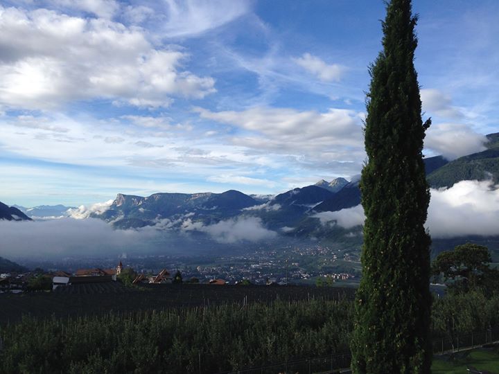 Yoga - https://scontent.xx.fbcdn.net/hphotos-xpa1/t31.0-0/p180x540/10861060_428267367348966_5841260067267033587_o.jpg - Yogalounge Dresden