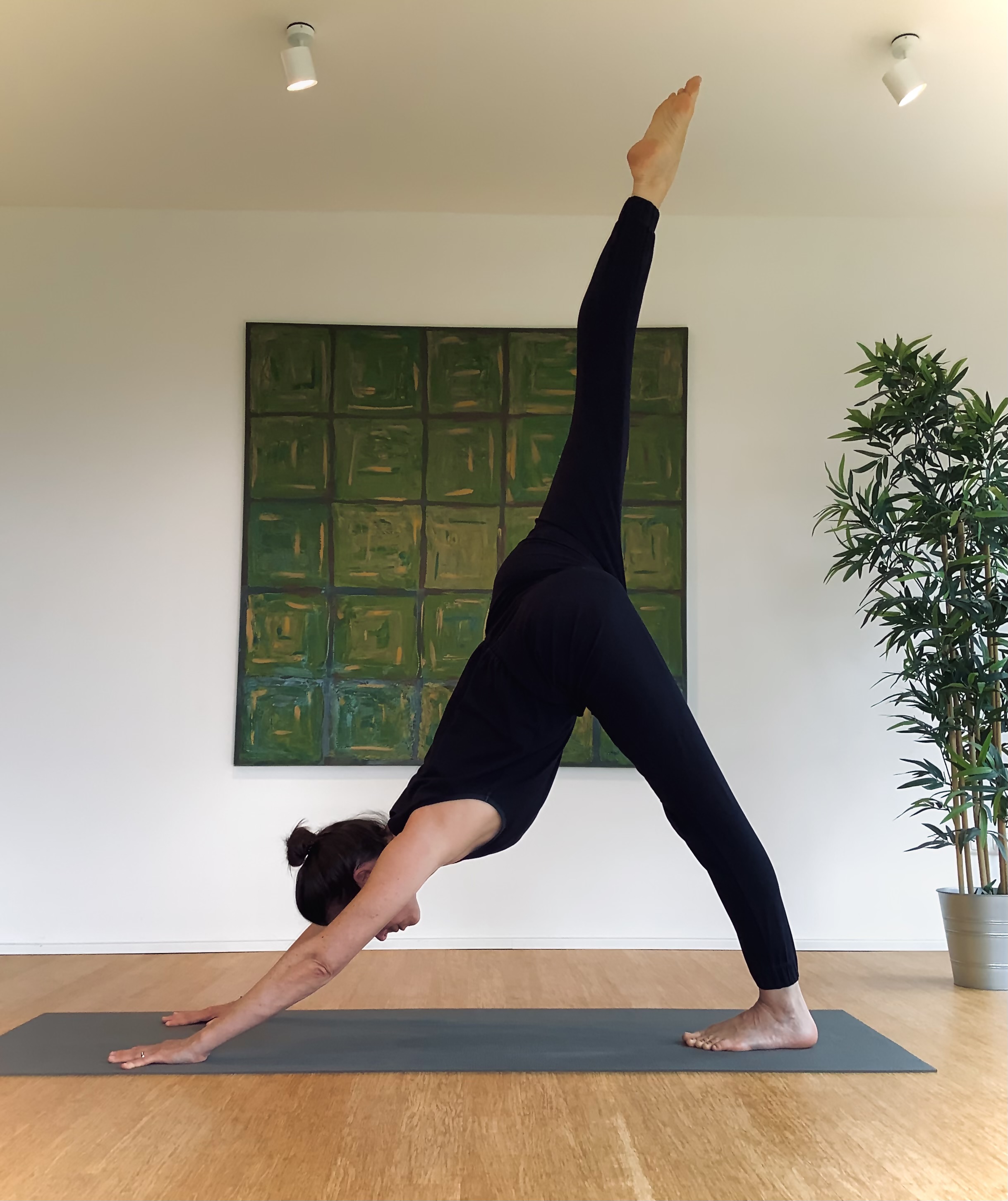 yoga - Kristina Schuler