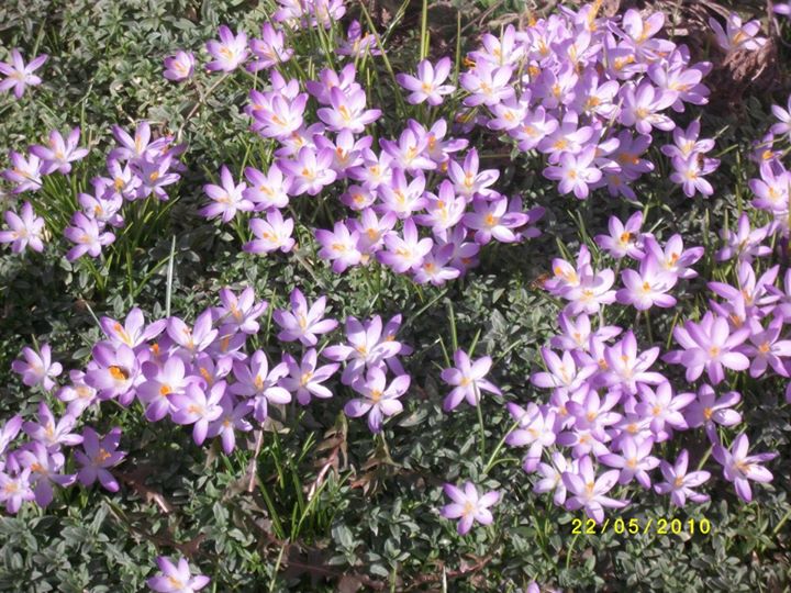 Yoga - https://scontent.xx.fbcdn.net/hphotos-xal1/v/t1.0-0/p180x540/12279132_1067220953302127_1780931397309678309_n.jpg?oh=54951903f2b09f497361c3a6a1574a67&oe=57532C9D - Yogaraum Halver