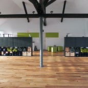 Yoga - Das Yoga Studio ist mit Echtholzparkett und Fußbodenheizung ausgestattet.  - BeWell Yoga Studio