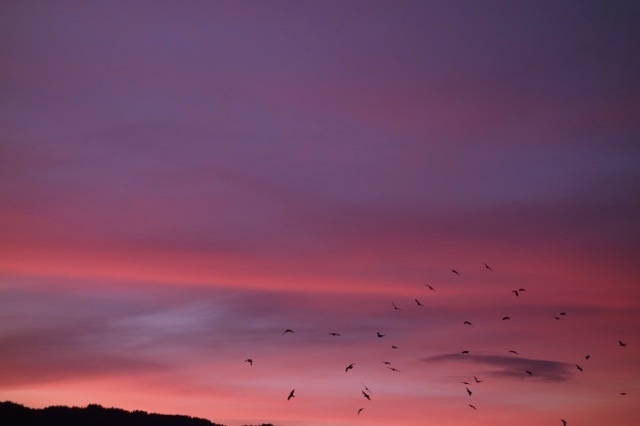 yoga - https://scontent.xx.fbcdn.net/hphotos-xaf1/v/t1.0-9/1609604_651456604912917_1169412600_n.jpg?oh=130d0aa7c569fd4e23a47ec549f71b55&oe=576644EA - Yoga by Beate Aldag