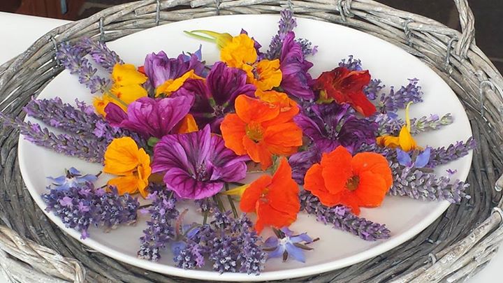 yoga - https://scontent.xx.fbcdn.net/hphotos-frc3/v/t1.0-9/s720x720/10593028_769052936466966_7929989044232915503_n.jpg?oh=2d9ddc127b0e61659d176b0b4e924b2a&oe=57965BD3 - Yogaleicht