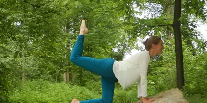 Yoga course - geeignet für: Ältere Menschen - Salzburg - In der Natur ist es am schönsten... - Annette Bhagavantee Paul
