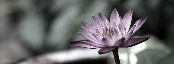 Yoga - https://scontent.xx.fbcdn.net/hphotos-xfa1/v/t1.0-9/s720x720/1606890_721258441297170_3815165559724767082_n.jpg?oh=0591737f1a85cc03e4cfe6586476f919&oe=57549EAD - Nadine Rothfuß Yoga und Ayurveda