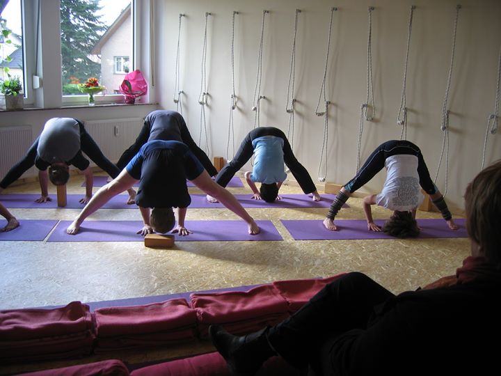 yoga - https://scontent.xx.fbcdn.net/hphotos-xfp1/t31.0-0/p180x540/665589_490193564347396_1462218765_o.jpg - Iyengar Yoga Paderborn