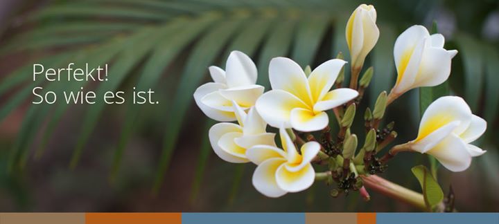 yoga - https://scontent.xx.fbcdn.net/hphotos-xfa1/t31.0-8/s720x720/10295414_667738243275527_3702896258494129930_o.jpg - yogabasics