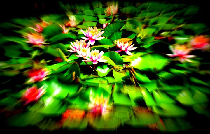 yoga - https://scontent.xx.fbcdn.net/hphotos-xaf1/t31.0-8/s720x720/10353368_635826486493290_610313299455600915_o.jpg - Yoga Reiki Tübingen mit Christina Satyarupa Stoll