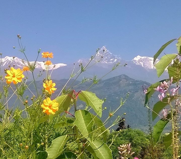 Yoga - https://scontent.xx.fbcdn.net/hphotos-xla1/t31.0-8/q81/s720x720/12091195_637331756369919_4104817870808260194_o.jpg - Yoga Körperbalance