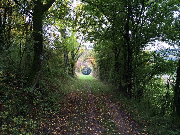 yoga - https://scontent.xx.fbcdn.net/hphotos-xta1/t31.0-0/q84/p180x540/11229566_1018015014885345_4462832209784049427_o.jpg - Karuna Yoga