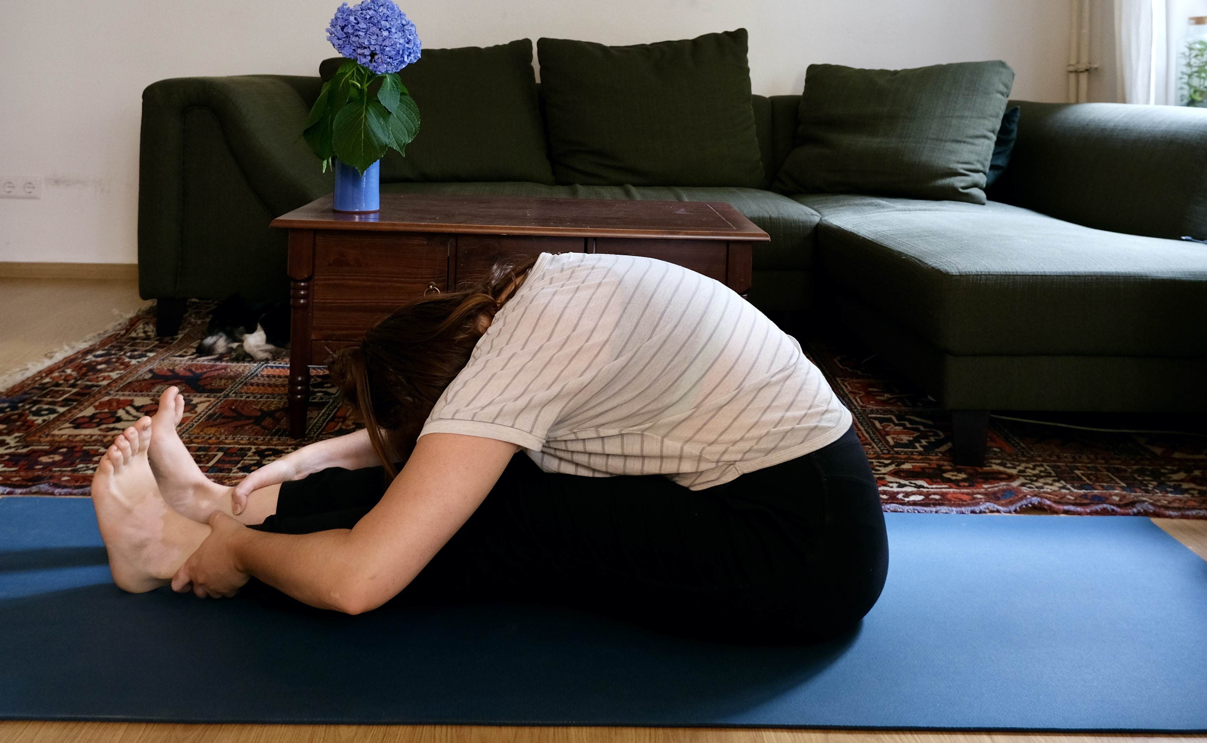 Yoga - Online: Hatha Flow for all bodies