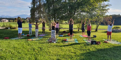 Yoga course - Zertifizierung: 800 UE BYV - Austria - Yoga Vidya Seekirchen 