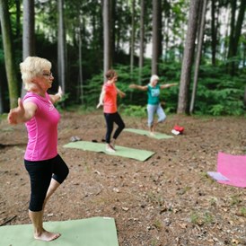 Yoga: Yoga für Seniorinnen
Bei Schönwetter hat die Stunde auch schon mal im Wald oder auf der Wiese statt gefunden :) - Natur & YOGA