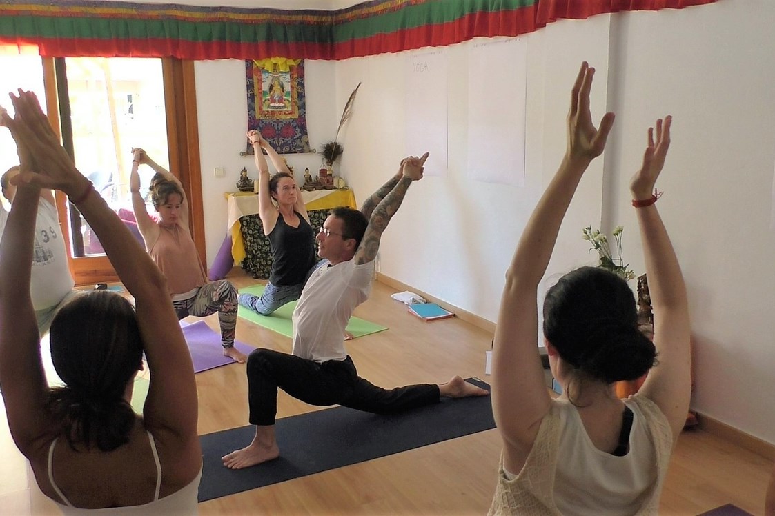 Yoga: Traditional Hatha Yoga