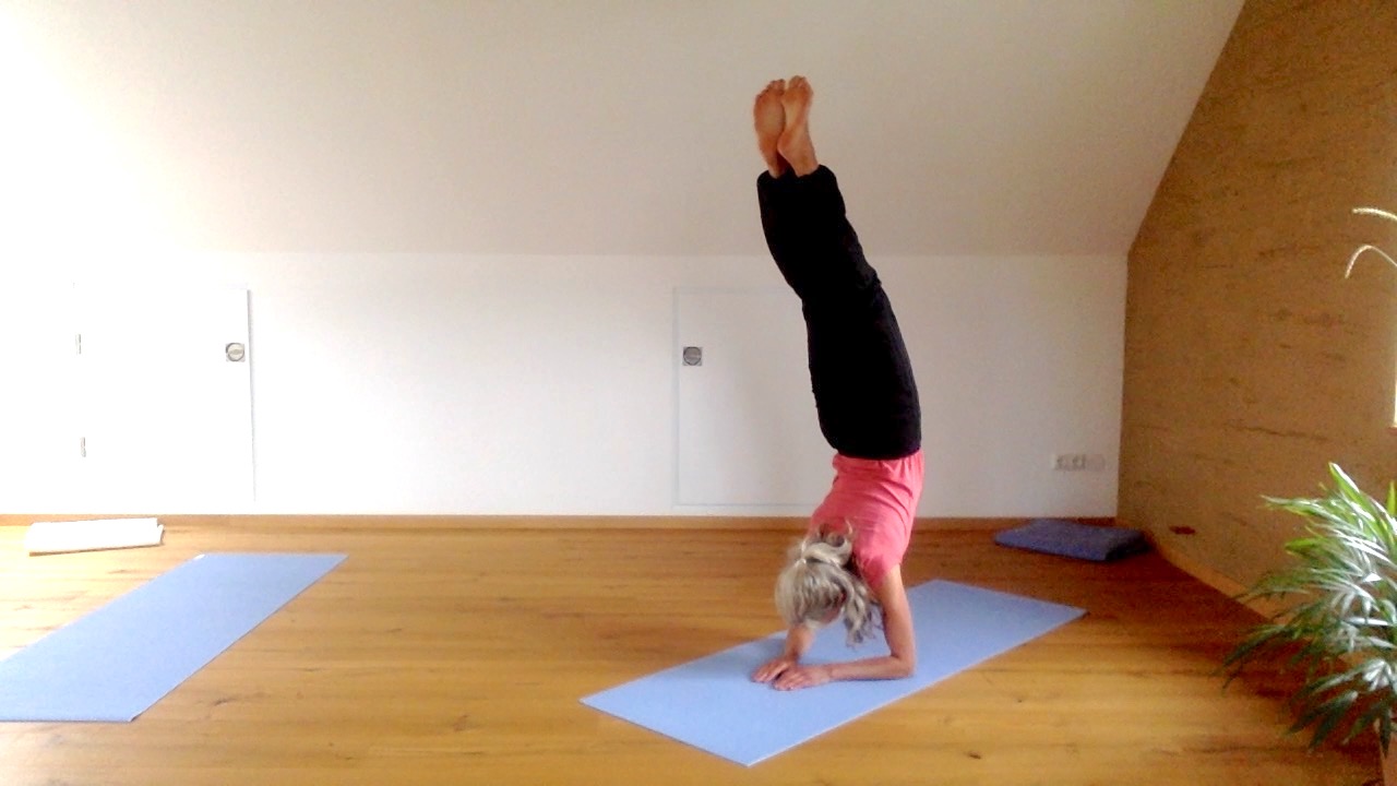 Yoga: skorpion - Yoga Petra Himmel