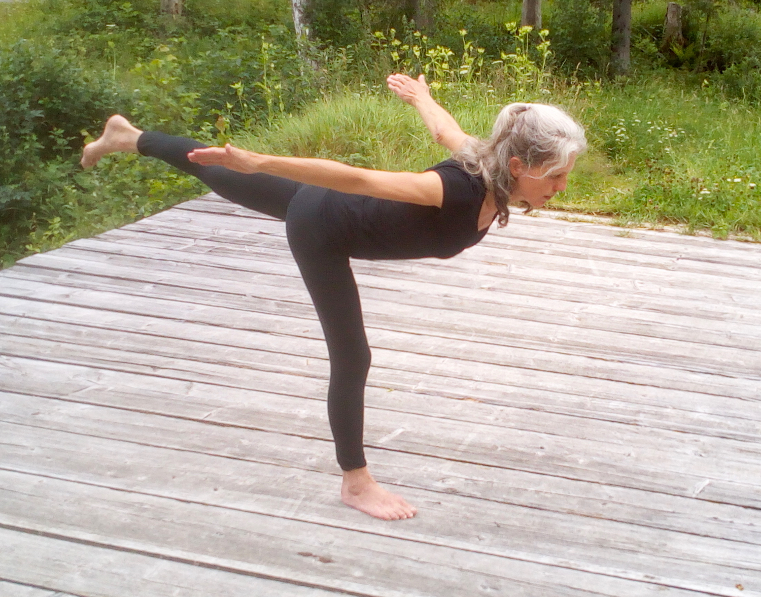 Yoga: Schwalbe, Variation der Waage (tuladandasana) - Yoga Petra Himmel