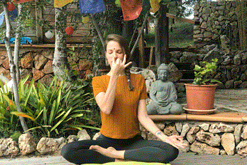 Yoga: Farina Yoga - Yin Yoga · Yoga Nidra · Yin Yang Yoga 