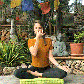 Yoga: Farina Yoga - Yin Yoga · Yoga Nidra · Yin Yang Yoga 