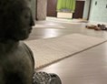 Yoga: Das gemütliche Studio - Hatha Yoga kassenzertifiziert 8 / 10 Termine